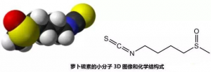 萝卜硫素-1
