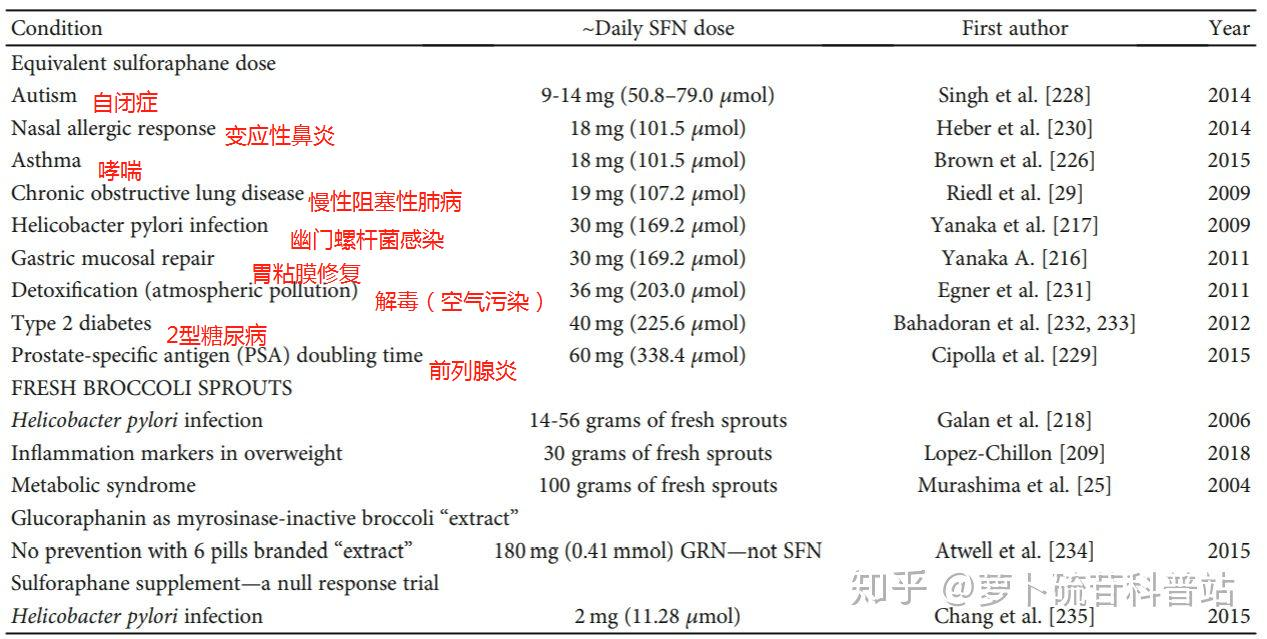 知乎萝卜硫素科普站